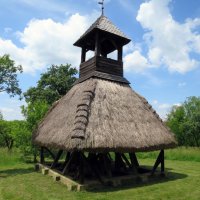 Pankaszi szoknyás harangláb