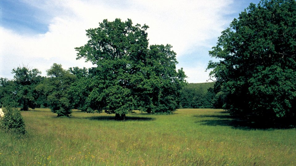 Őrségi Nemzeti Park
