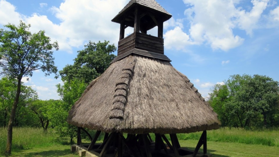 Pankaszi szoknyás harangláb